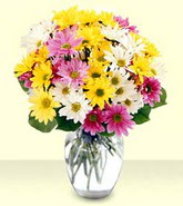  Ankara internetten çiçek siparişi  mevsim çiçekleri mika yada cam vazo