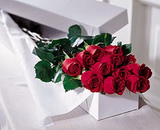  Ankara çiçek satışı  özel kutuda 12 adet gül