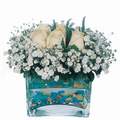 mika ve beyaz gül renkli taslar   Ankara çiçek satışı 