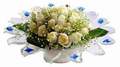 cam günes ve dolunay bembeyaz  Ankara çiçek , çiçekçi , çiçekçilik 