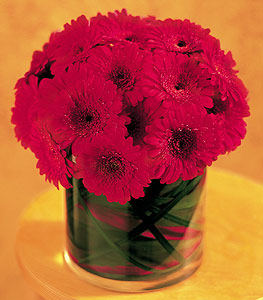  Ankara ucuz çiçek gönder  23 adet gerbera çiçegi sade ve sik cam içerisinde