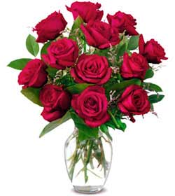  Ankara online çiçek gönderme sipariş  1 düzine kirmizi gül sevenlere özel vazo gülleri