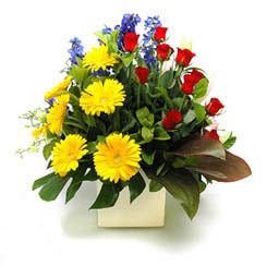  Ankara online çiçek gönderme sipariş  9 adet gül ve kir çiçekleri cam yada mika vazoda