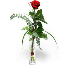  Ankara 14 şubat sevgililer günü çiçek  Sana deger veriyorum bir adet gül cam yada mika vazoda