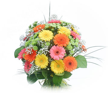 13 adet gerbera çiçegi buketi  Ankara online çiçek gönderme sipariş 