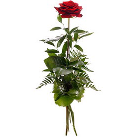  Ankara online çiçekçi , çiçek siparişi  1 adet kırmızı gülden buket