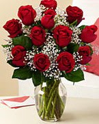 Sevgilime hediye 9 adet 1.ci kalite gül  Ankara anneler günü çiçek yolla 