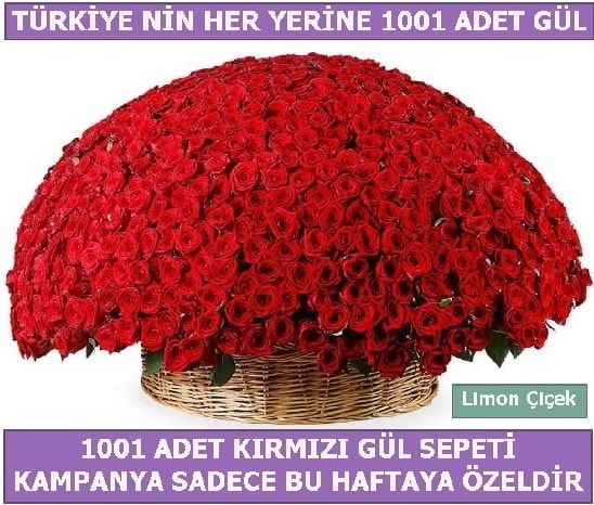 1001 Adet kırmızı gül Bu haftaya özel  Ankara İnternetten çiçek siparişi 